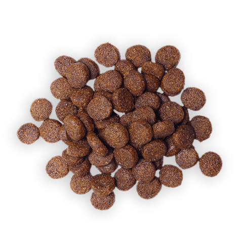 Dog food food-transparent-17